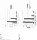 Fig. 02 - Particles comprising protamine and RNA in combination with endosome destabilizing agents