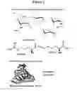 Fig. 03 - Phosphorescent nanoparticles and their uses in biosensing and bioimaging