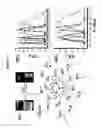 Fig. 04 - Phosphorescent nanoparticles and their uses in biosensing and bioimaging