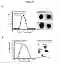 Fig. 06 - Phosphorescent nanoparticles and their uses in biosensing and bioimaging