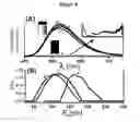Fig. 09 - Phosphorescent nanoparticles and their uses in biosensing and bioimaging