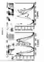 Fig. 14 - Phosphorescent nanoparticles and their uses in biosensing and bioimaging