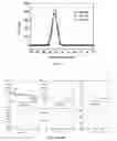 Fig. 07 - Gd-ENCAPSULATED CARBON DOTS AND METHODS OF MAKING AND USING THEREOF