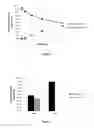 Fig. 02 - DRY DERMAL FILLER COMPOSITIONS AND METHODS OF RECONSTITUTION