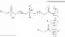 Fig. 17 - Biocompatible, biomimetic ampholyte materials