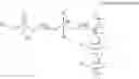 Fig. 23 - Biocompatible, biomimetic ampholyte materials