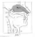 Fig. 02 - NASAL DEVICES