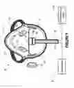 Fig. 02 - Oxygenation mask with integrated end-tidal carbon dioxide monitoring