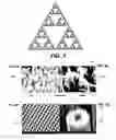 Fig. 06 - Method for increasing the permeability of an epithelial barrier