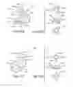 Fig. 09 - ANCHORING UNITS FOR IMPLANTABLE ELECTRICAL STIMULATION SYSTEMS AND METHODS OF MAKING AND USING