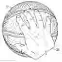 Fig. 01 - BASKETBALL TRAINING COVER