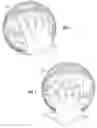 Fig. 02 - BASKETBALL TRAINING COVER