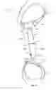 Fig. 02 - Tennis training device