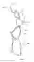 Fig. 09 - Tennis training device