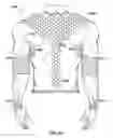 Fig. 22 - Protective sporting gear