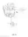 Fig. 07 - Games controller and trigger therefor