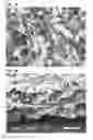Fig. 02 - Web comprising fine fiber and reactive, adsorptive or absorptive particulate
