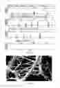 Fig. 05 - Oligonucleotide data storage on solid supports