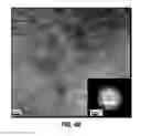 Fig. 08 - Sorption And Separation of Various Materials By Graphene Oxides