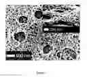 Fig. 06 - Porous resin structures
