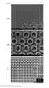 Fig. 05 - Imprinting Metallic Substrates at Hot Working Temperatures