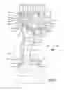 Fig. 03 - Power tool