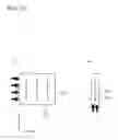 Fig. 14 - Cutting apparatus and cutting method