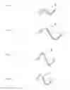 Fig. 04 - METHOD OF MANUFACTURING A CORRUGATED WOOD ELEMENT, A CORRUGATED WOOD ELEMENT AND ITS USES