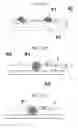 Fig. 12 - Lipophilic laminate, manufacturing method therefor, and article