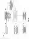 Fig. 09 - MODULAR METHOD OF MANUFACTURING WAVEGUIDE FOR LIGHTING SYSTEM