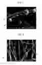 Fig. 05 - LAMINATED NONWOVEN FABRIC