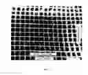 Fig. 06 - CARPET WITH FLUID BARRIER PROPERTIES