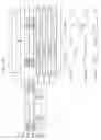 Fig. 14 - Liquid ejecting apparatus and inspection ejection unit designation data generation circuit