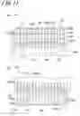 Fig. 12 - Thermal head and thermal printer