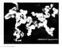 Fig. 01 - Coated print media and method for making the same