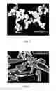 Fig. 03 - Coated print media and method for making the same