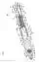 Fig. 06 - Feeding pencil
