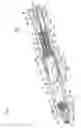 Fig. 06 - Feeding pencil