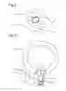 Fig. 09 - SEAT RECLINING DEVICE FOR VEHICLE