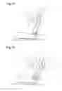 Fig. 12 - SEAT RECLINING DEVICE FOR VEHICLE
