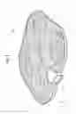 Fig. 03 - Flying device and image-capturing device