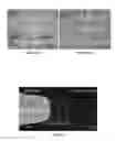 Fig. 32 - METHOD OF FABRICATING A NANOCHANNEL SYSTEM FOR DNA SEQUENCING AND NANOPARTICLE CHARACTERIZATION