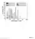 Fig. 14 - Bandgap engineering of carbon quantum dots
