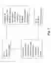 Fig. 08 - SYSTEMS AND METHODS FOR AUTOMATED CONTROL OF MIXING AND AERATION IN TREATMENT PROCESSES