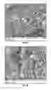 Fig. 07 - Method for enhancing soil growth using bio-char