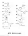 Fig. 09 - AMINE-CONTAINING LIPIDOIDS AND USES THEREOF
