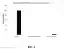 Fig. 03 - LIPID PARTICLES WITH CATIONIC LIPIDS FOR RNA DELIVERY