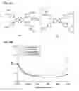 Fig. 11 - Compositions and methods for quadricyclane modification of biomolecules