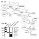 Fig. 19 - Compositions and methods for quadricyclane modification of biomolecules