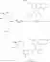 Fig. 32 - Compositions and methods for quadricyclane modification of biomolecules